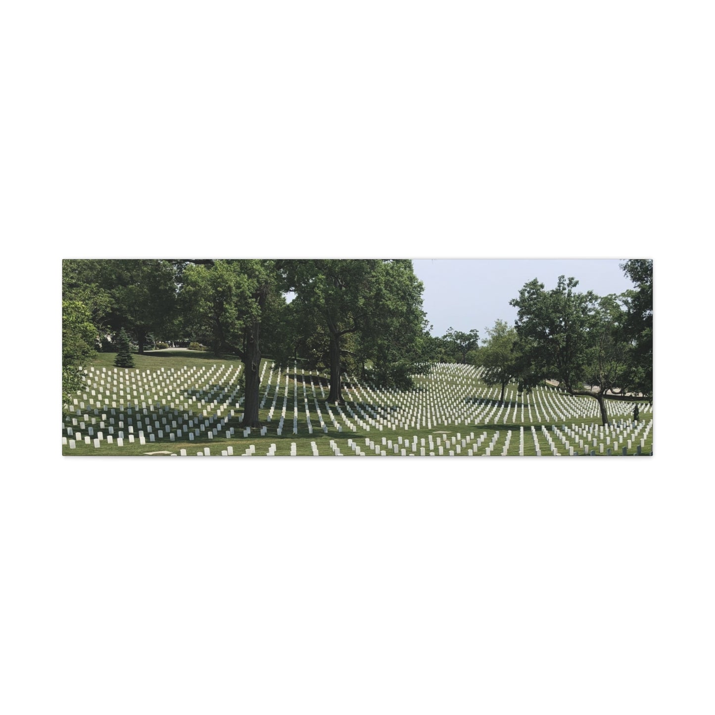Arlington: Remember - Matte Canvas, Stretched, 1.25"