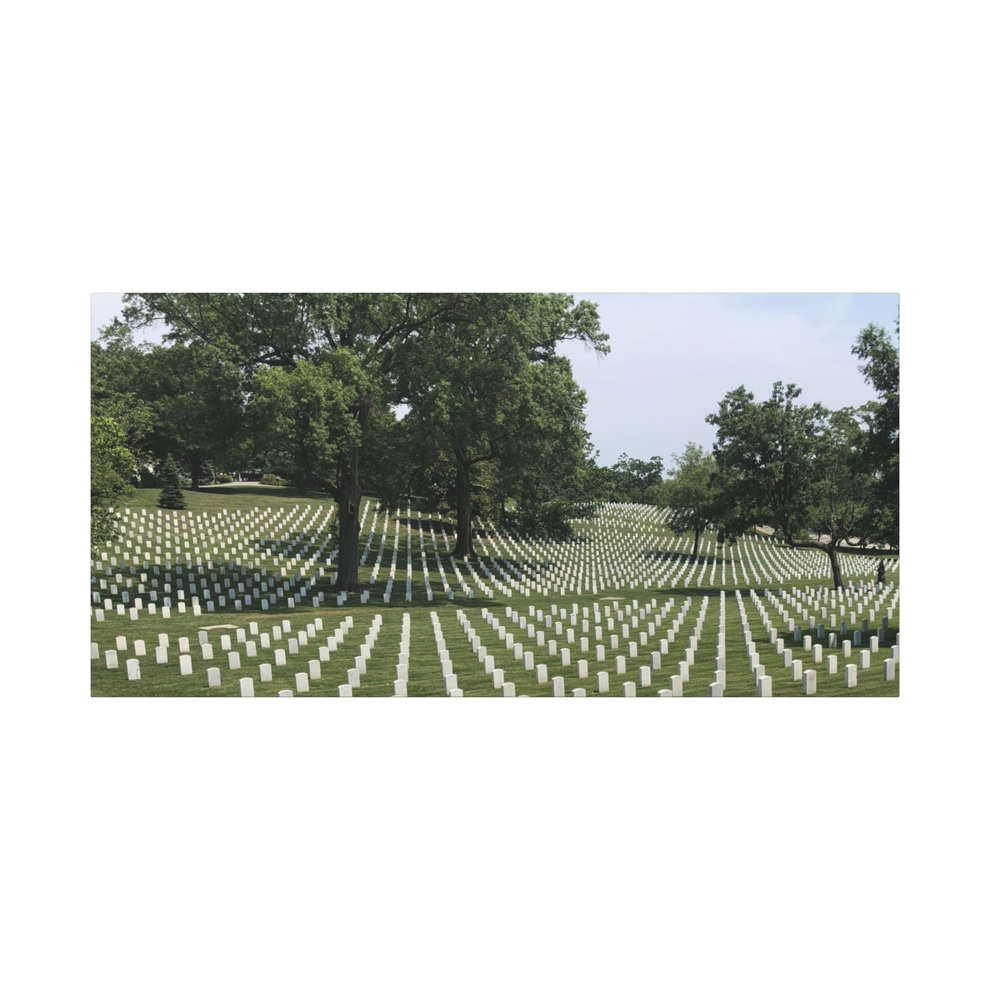 Arlington: Remember - Matte Canvas, Stretched, 1.25"
